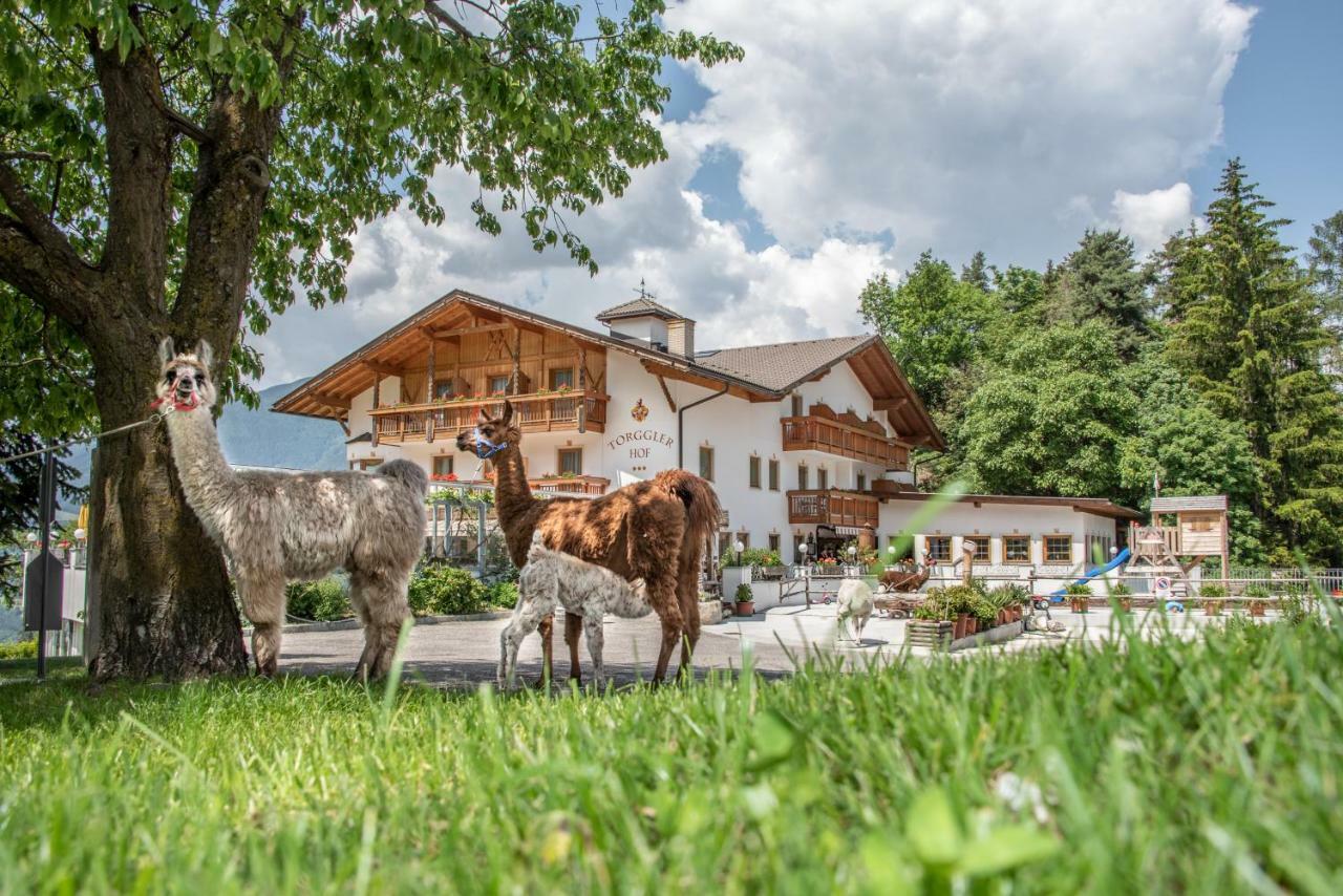 Hotel Torgglerhof Brixen Exteriér fotografie
